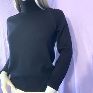 Everlane cashmere navy turtleneck sweater